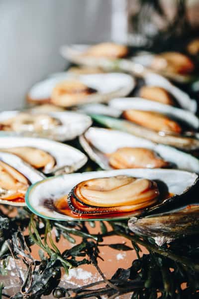 Oyster being served