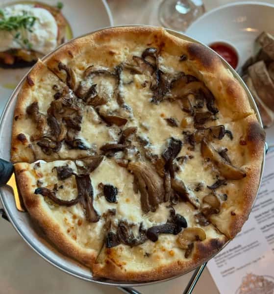 Mushroom PIZZA