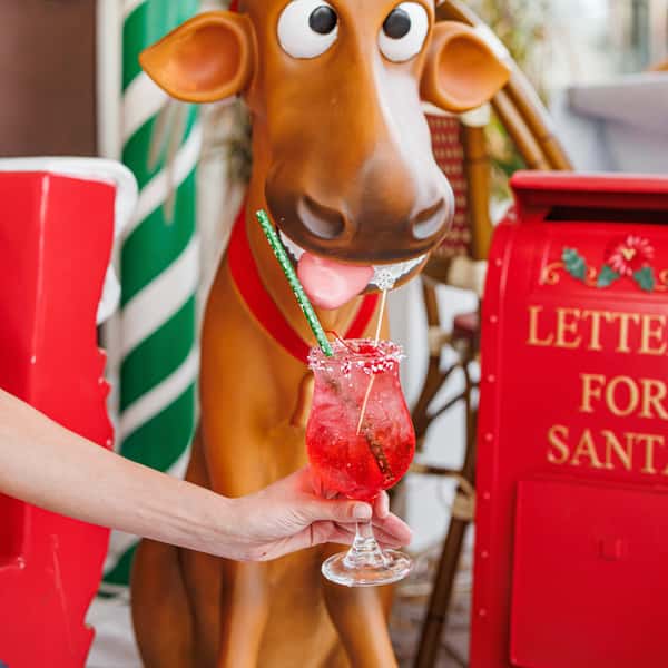 SHIRLEY BLITZEN'