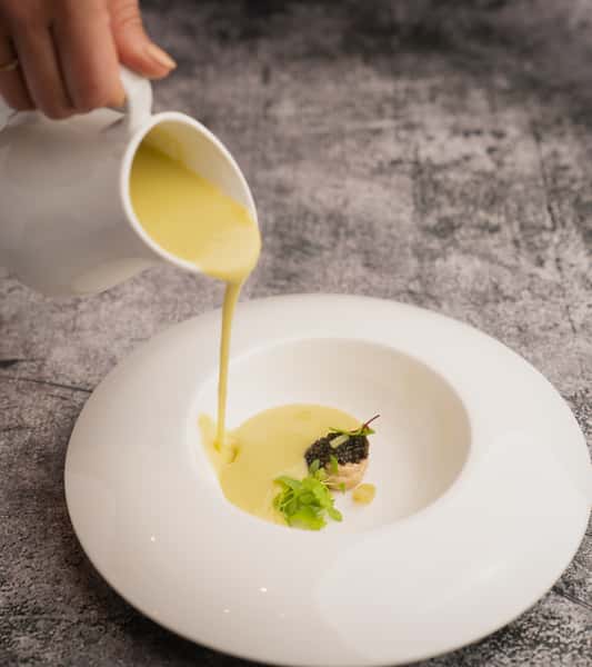 Seasonal Soup 