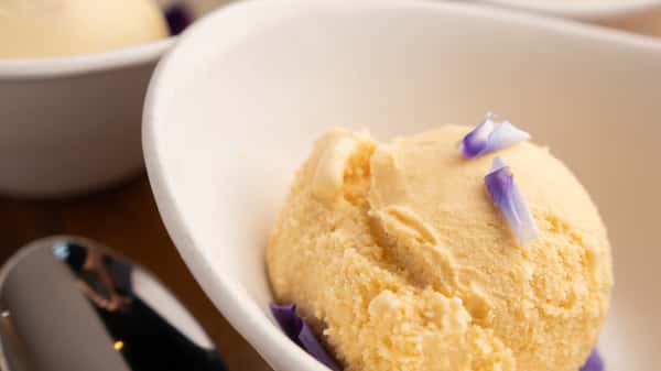 Seasonal Ice Cream