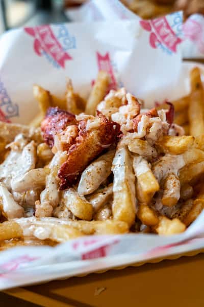 Lobster Queso Fries