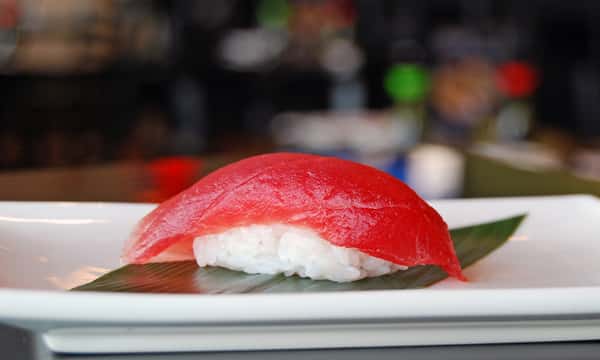 maguro