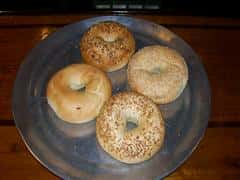 Prima - bagels