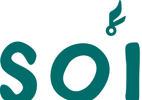 Soi
