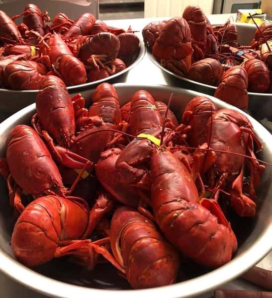 Steamed Lobsters