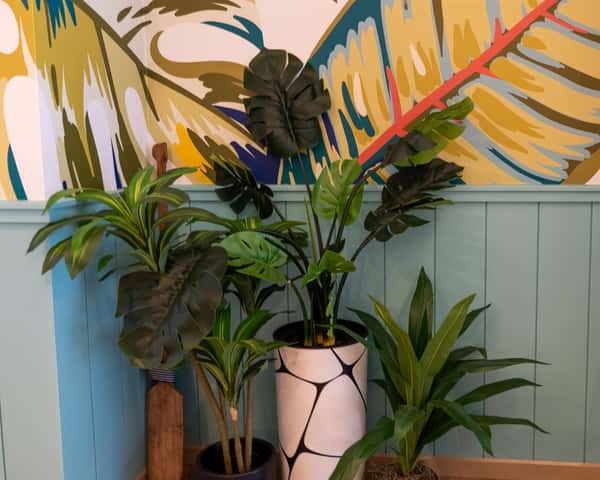 Indoor wall area with tropical plants in front of a painted mural.
