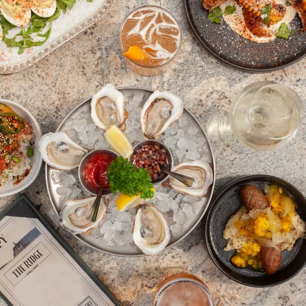 Oysters with small plates and drinks
