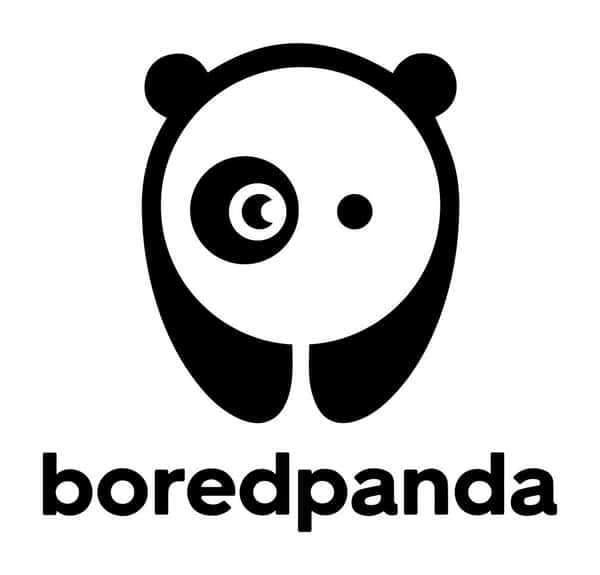 photo of a panda with title "boredpanda"