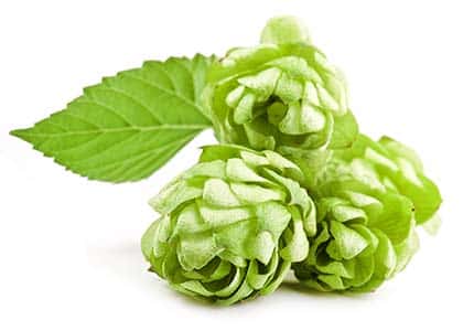 GREEN - West Coast IPA