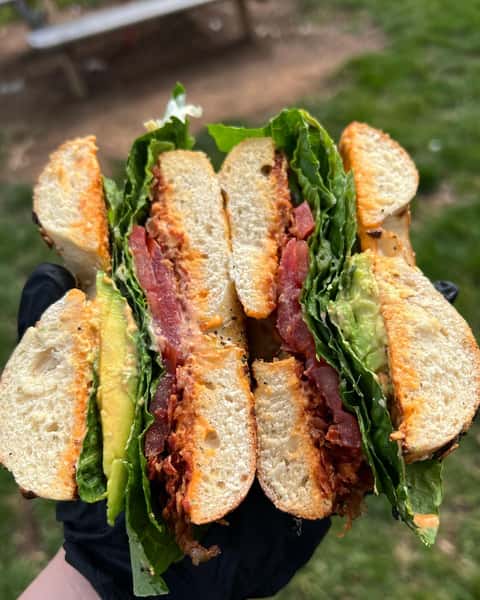 bagel sandwich