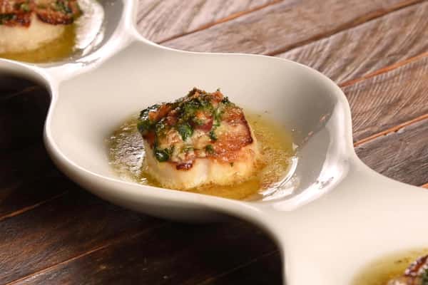 scallop