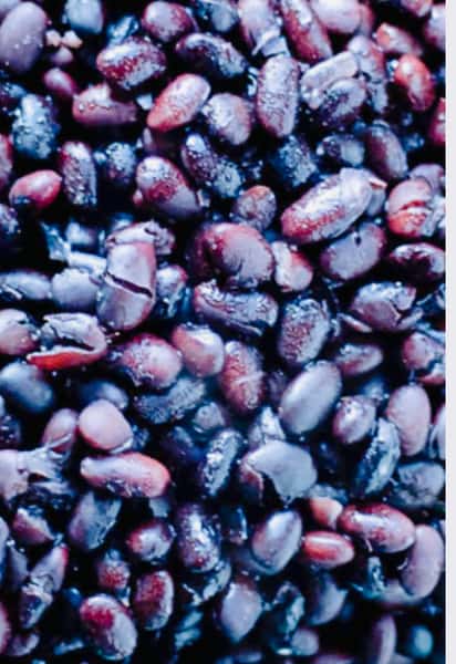 Black Beans