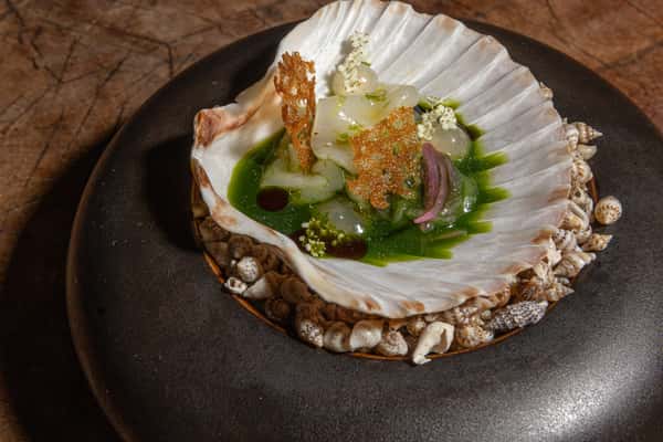 Gourmet scallop dish served in a shell with green sauce, delicate flowers, and crispy garnishes.