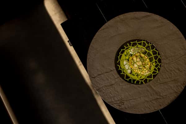 Gourmet dish with green geometric garnish on a dark plate under dramatic lighting