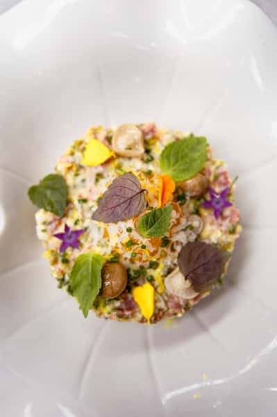 Colorful gourmet salad topped with mushrooms, fresh herbs, grated cheese, and edible flowers.