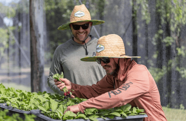 farm to table with chefs