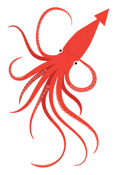 octopus