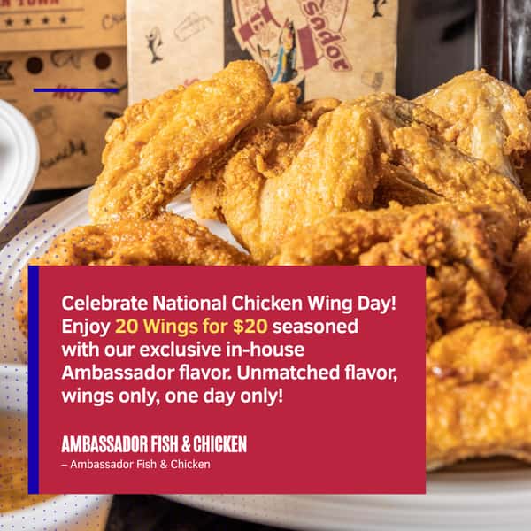 20 Wings Special