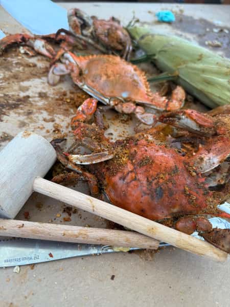 crabs