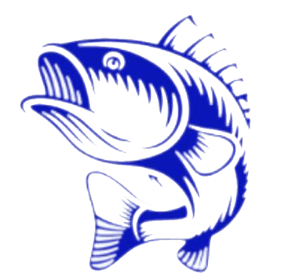 bass