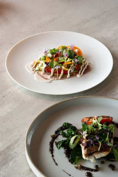 Colorful gourmet dish featuring fresh vegetables, leafy greens, and delicate garnishes arranged over a savory base on a white ceramic plate.
