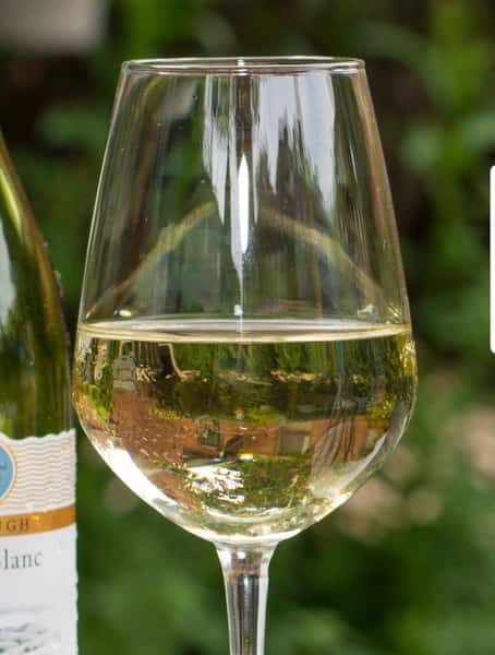 Glass of crisp white wine served outdoors with a softly blurred green background.