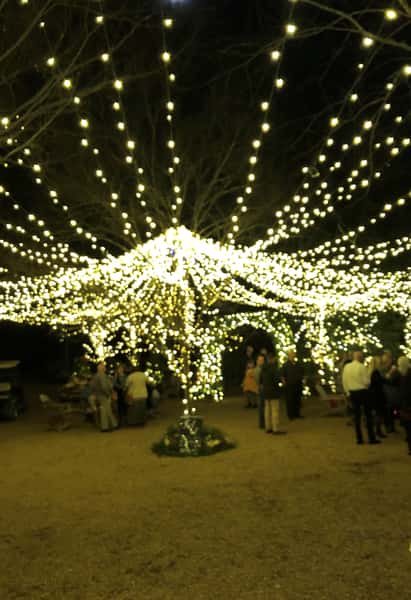 lights at nights