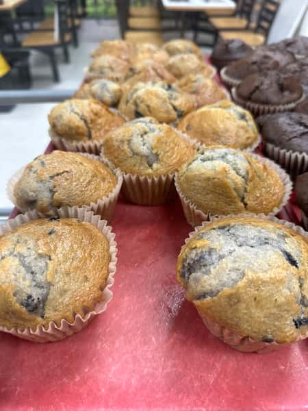 Blueberry Muffin
