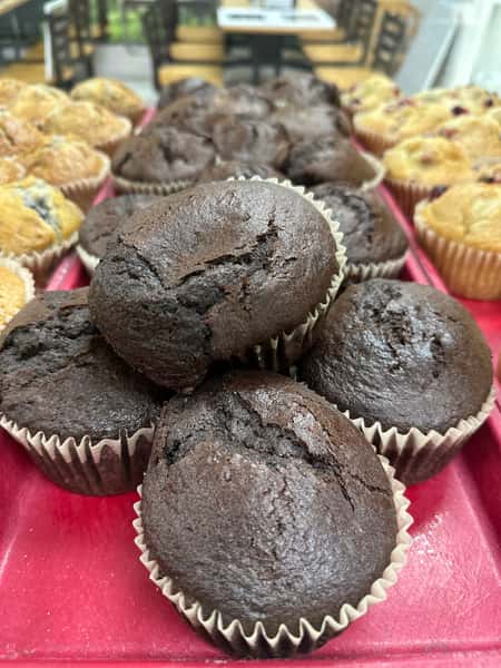 Chocolate Muffin