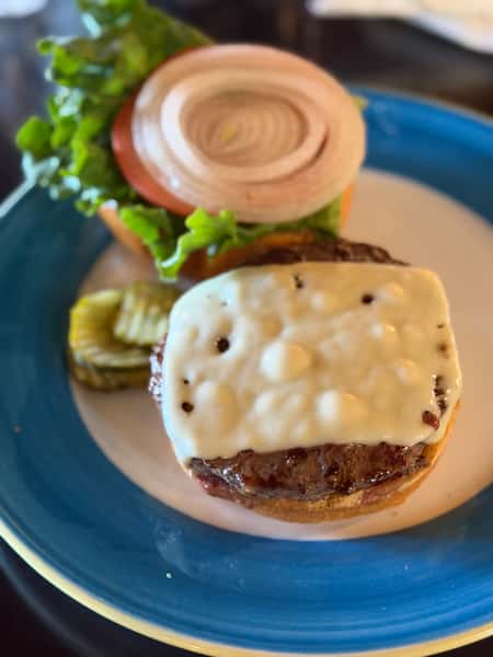 Bison Burger