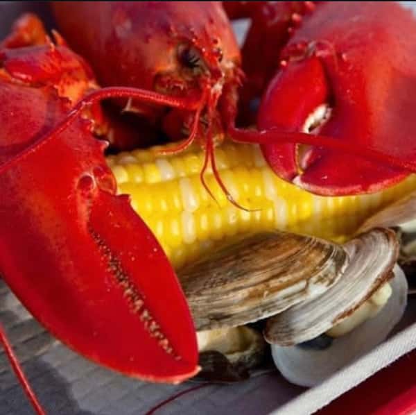 Lobster steamer feast