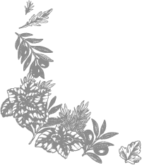 olive plant decoration black and white