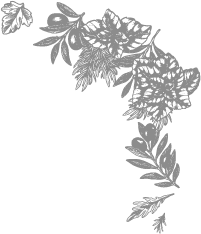 olives plant decoration