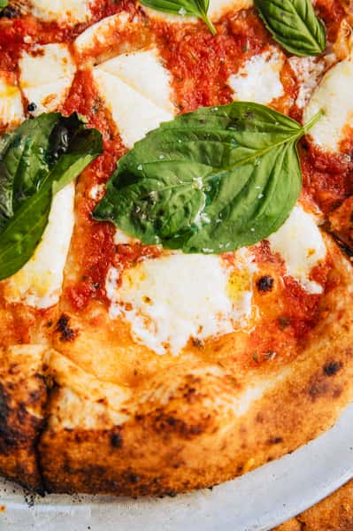 Margherita Pizza