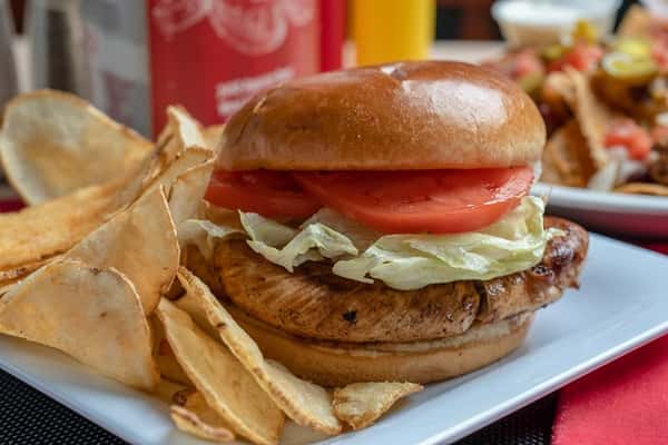Grilled chicken sandwich with lettuce, tomato and a side of potato chips