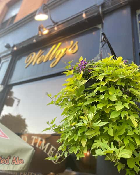 Patio - Welly's in Hudson