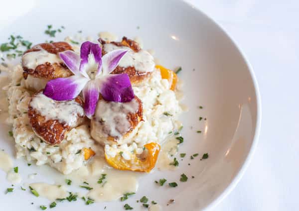 Scallops