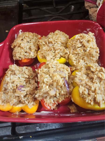 Vegan Food