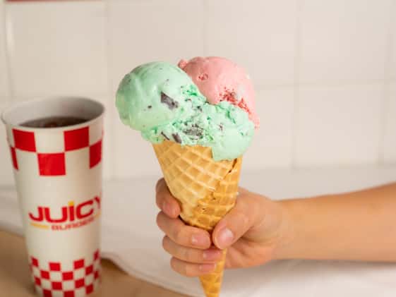 Ice Cream Double Scoop