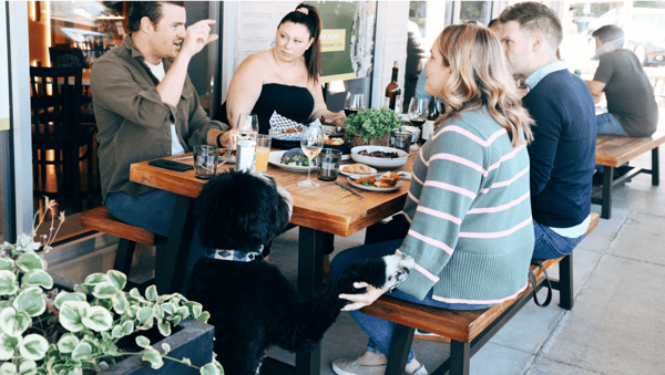 Scratch Dog Friendly Patio 