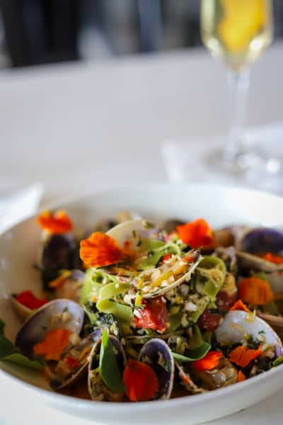 Manila Clams