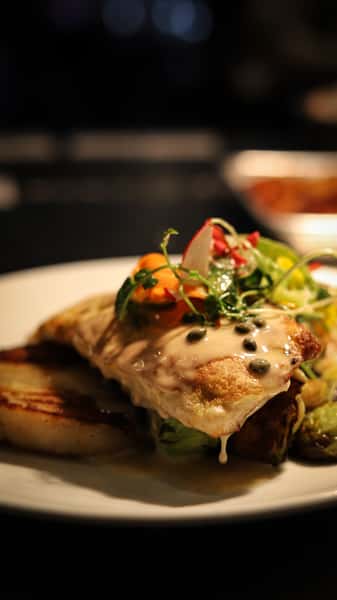Snapper Classic