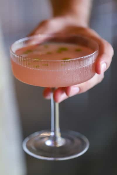 Rosebud