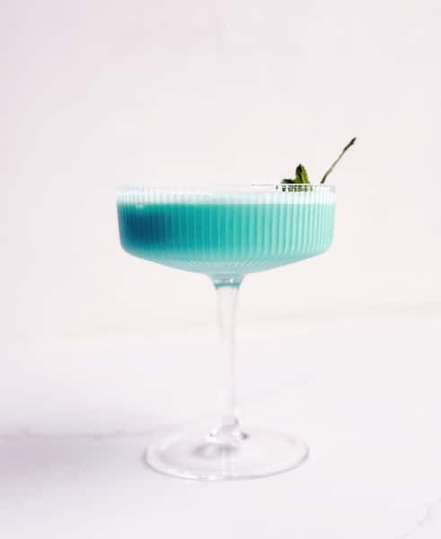 Grasshopper