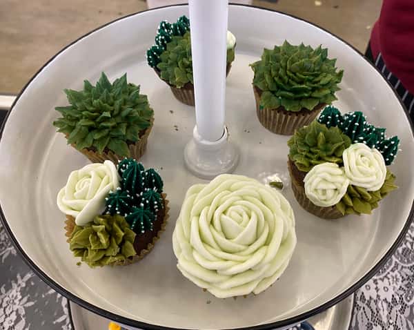 succulent cupcakes