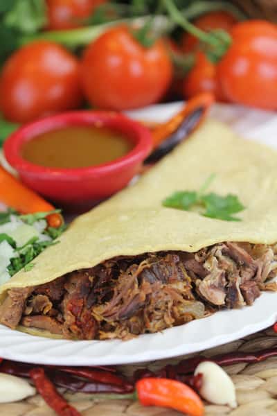 Birria Burrito