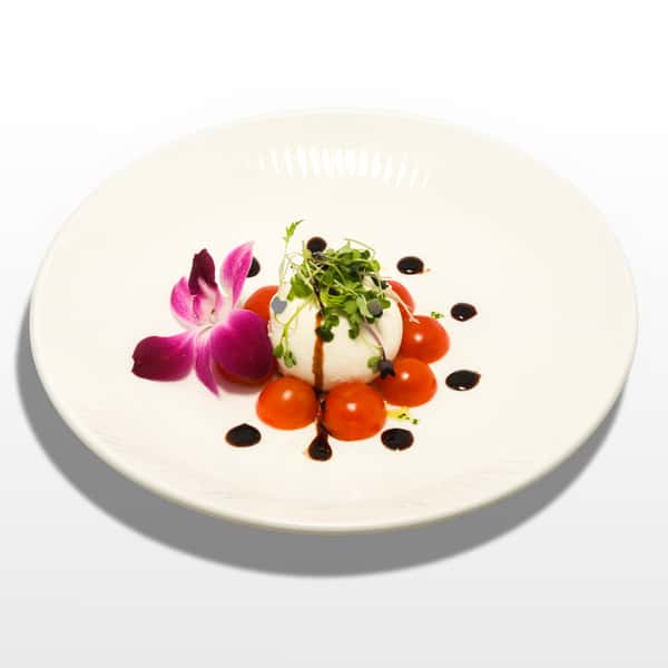 Imported Italian Burrata