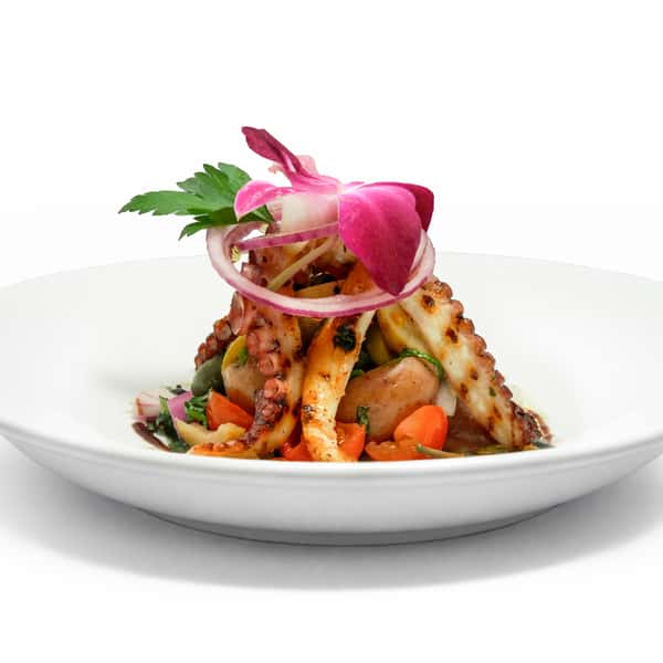 Grilled Octopus