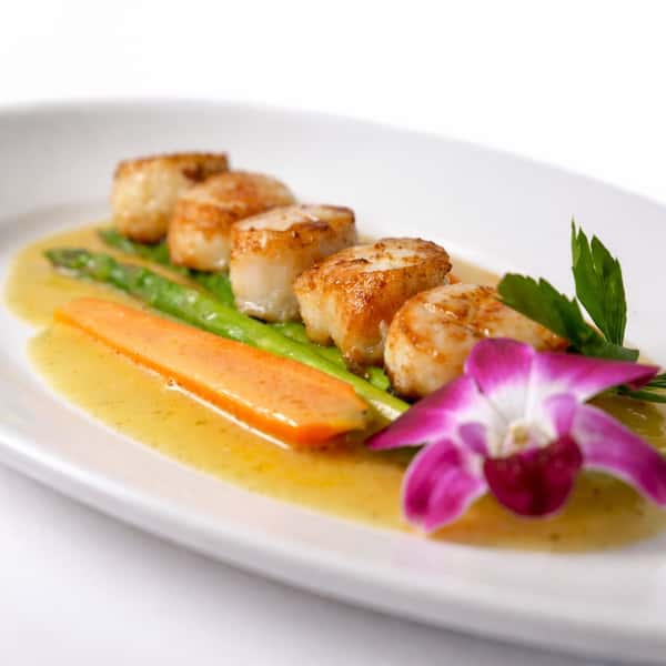 Dry Sea Scallops